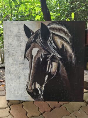 black horse beauty
